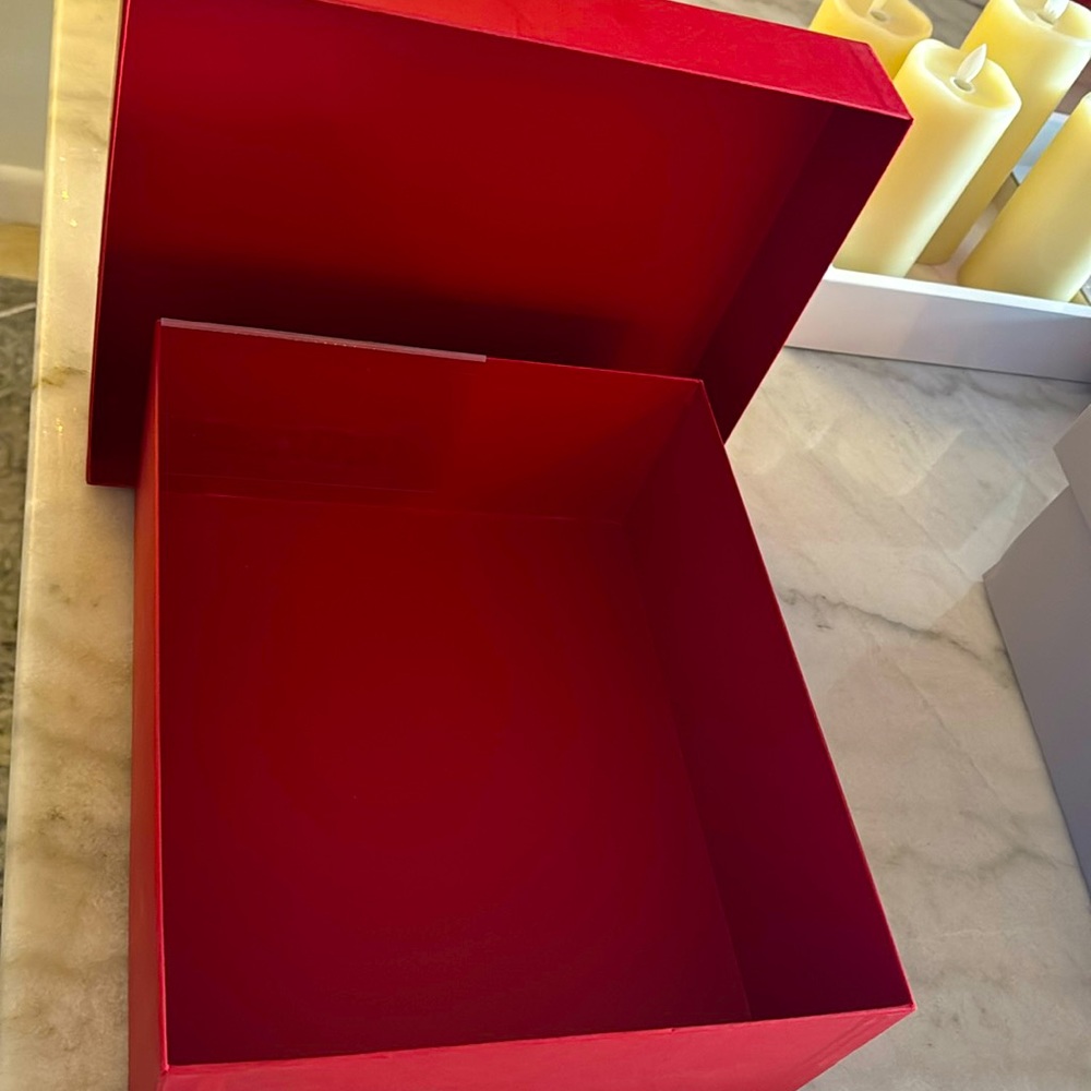 Valentino Garavani Shoe Box ONLY - Picture 4 of 4